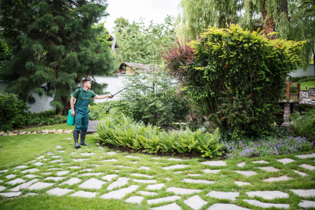 Best Ant Control Services  in Belterra, TX
